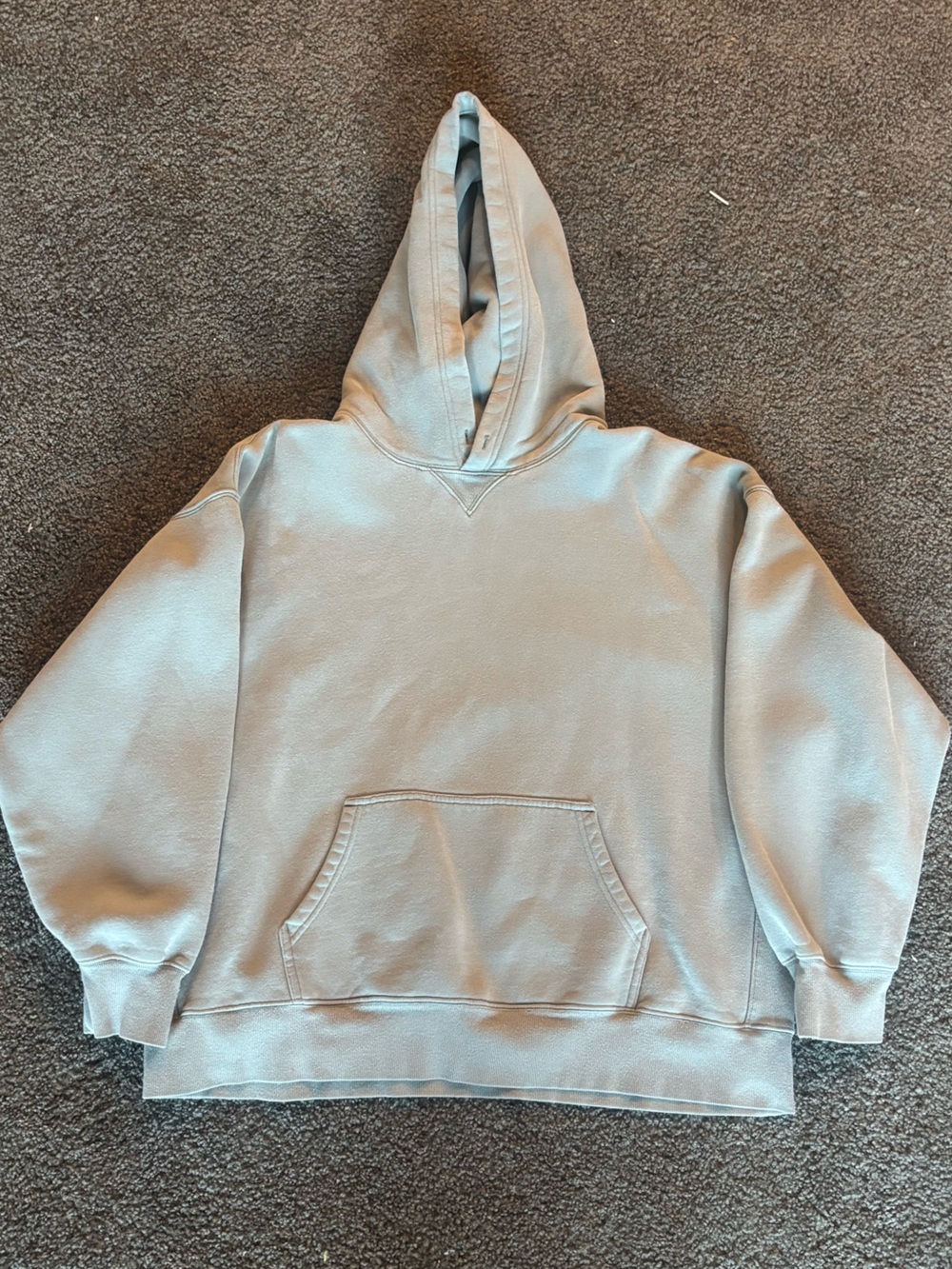 Aritzia hoodie